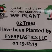 We Plant