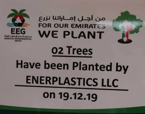 We Plant Trees
